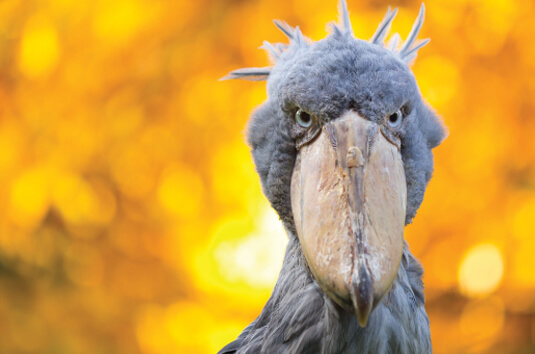 01. พูดคุยกับเจ้าหน้าที่ผู้เชี่ยวชาญ  Listing Image