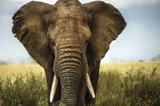 02. สร้างสรรค์การเดินทางในแบบฉบับของท่าน Listing Image