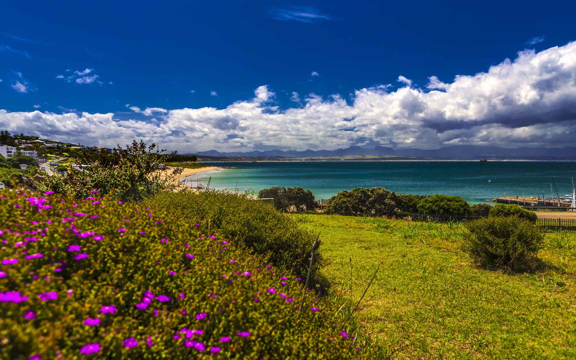 สภาพภูมิอากาศของแอฟริกาใต้ในเดือนมกราคม Listing Image