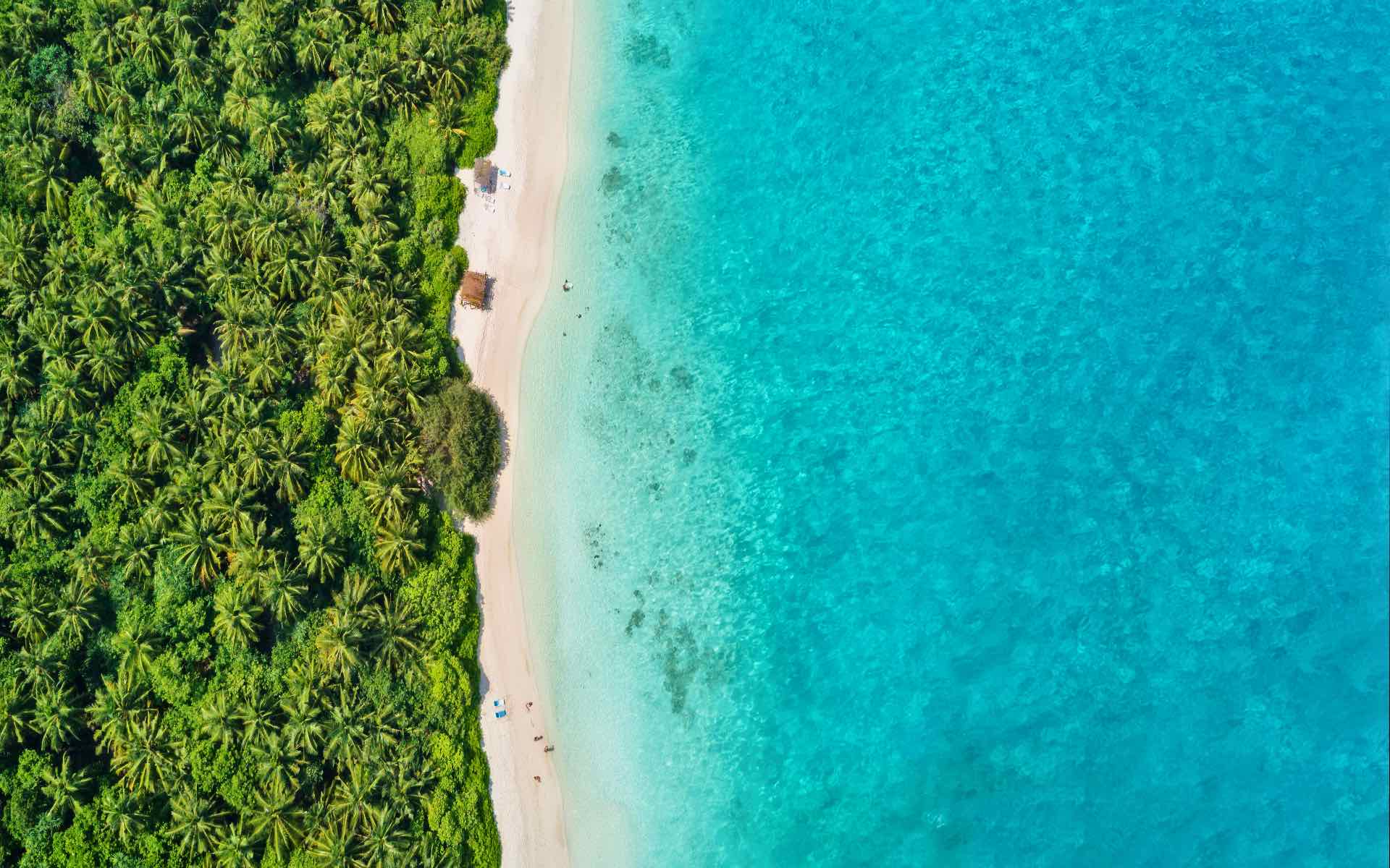 aerial view of maldives island with blue water, white sand and lush green forest