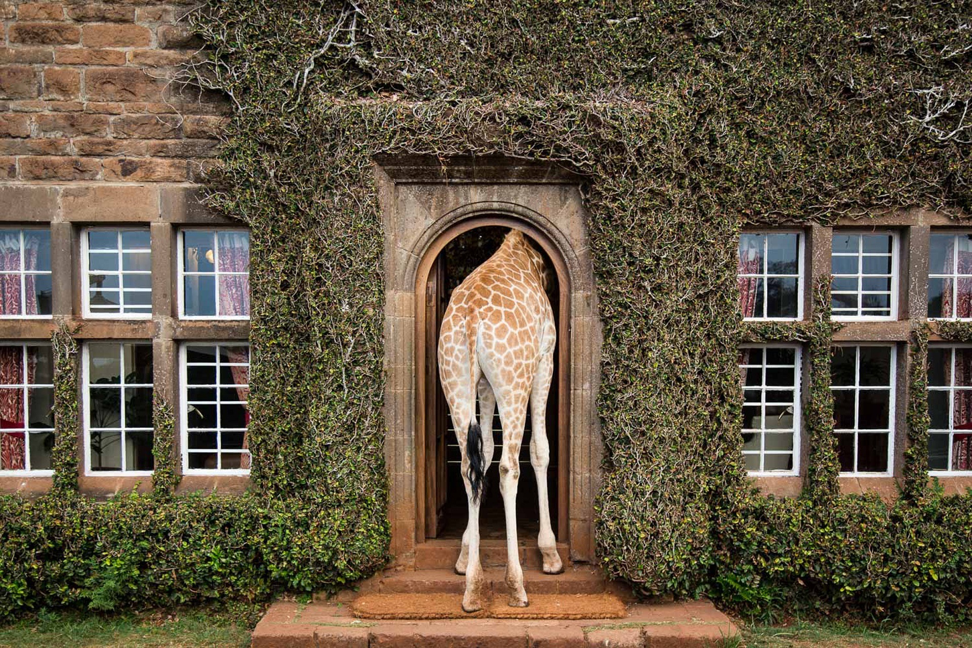 Giraffe Manor  Listing Image