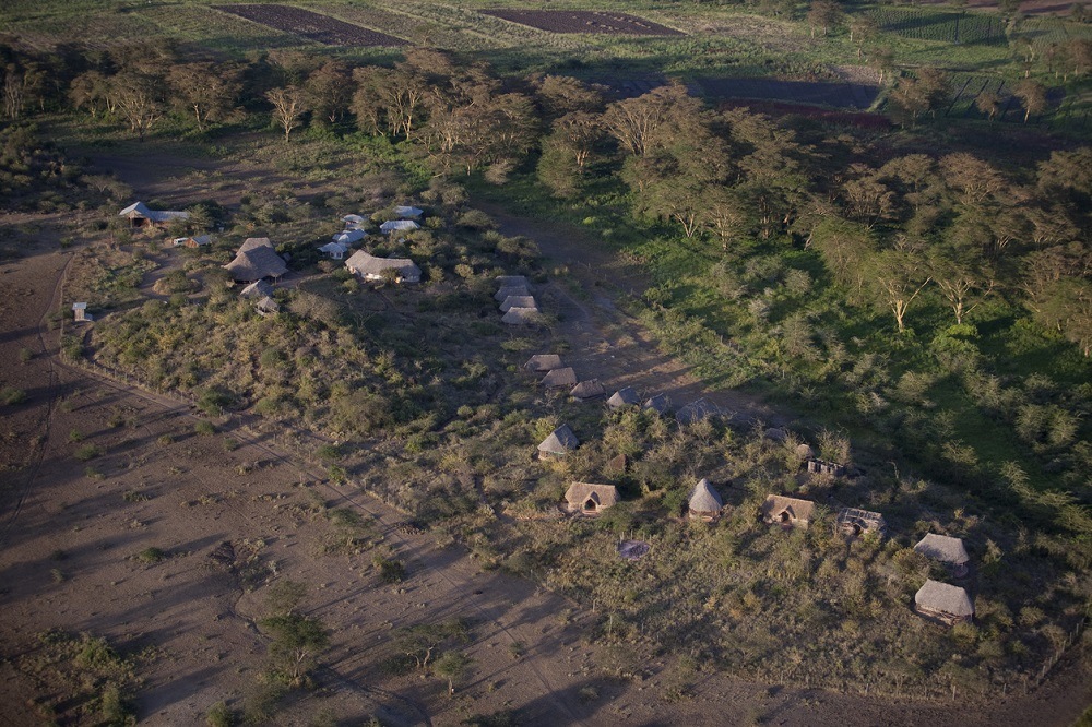 Why Wayfairer Family Adventure Safari to Kenya