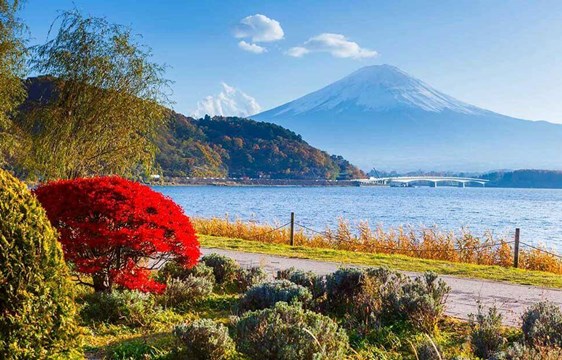 Visiting Japan in October