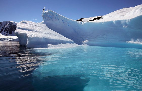 Antarctic Peninsula icebergs in Paradise Bay