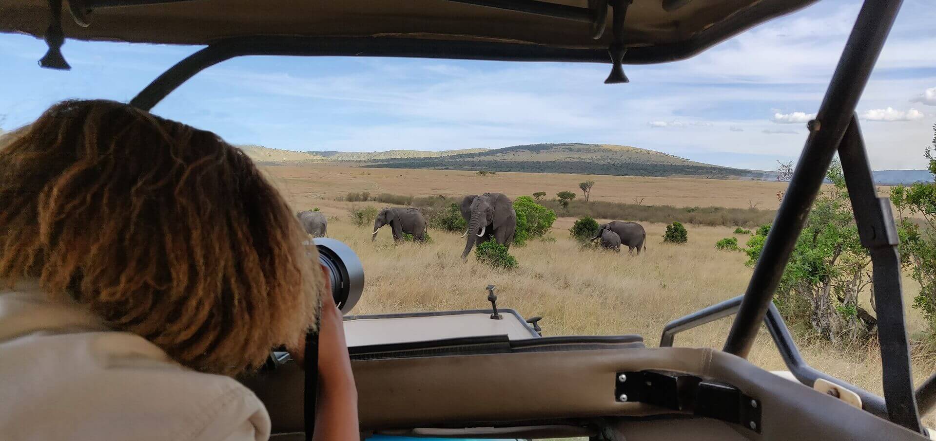 Wildlife Photography Holidays with an Expert Listing Image