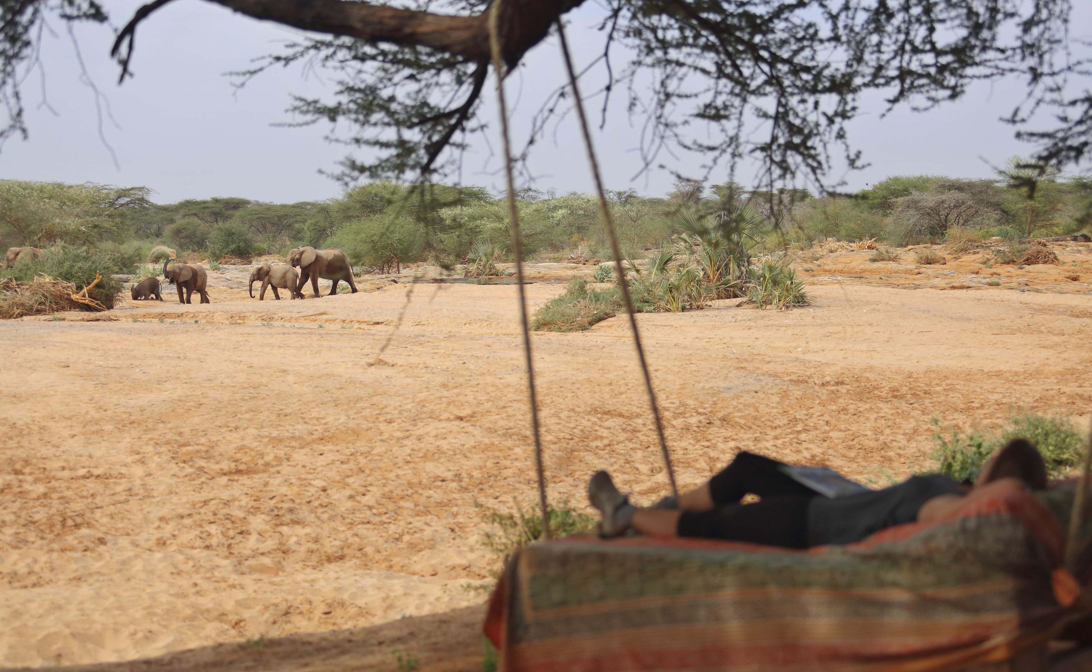 คลังภาพ 