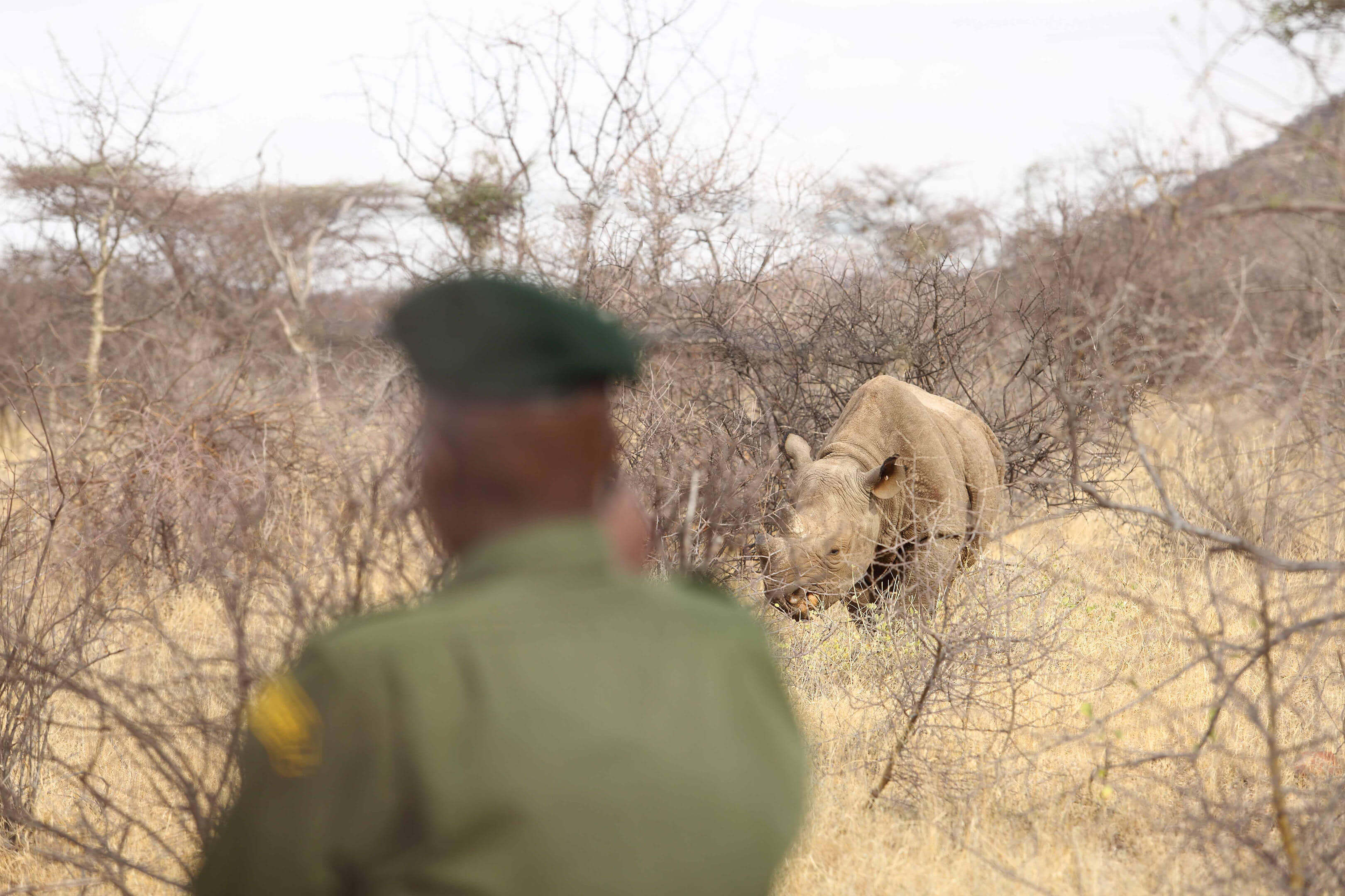 คลังภาพ 