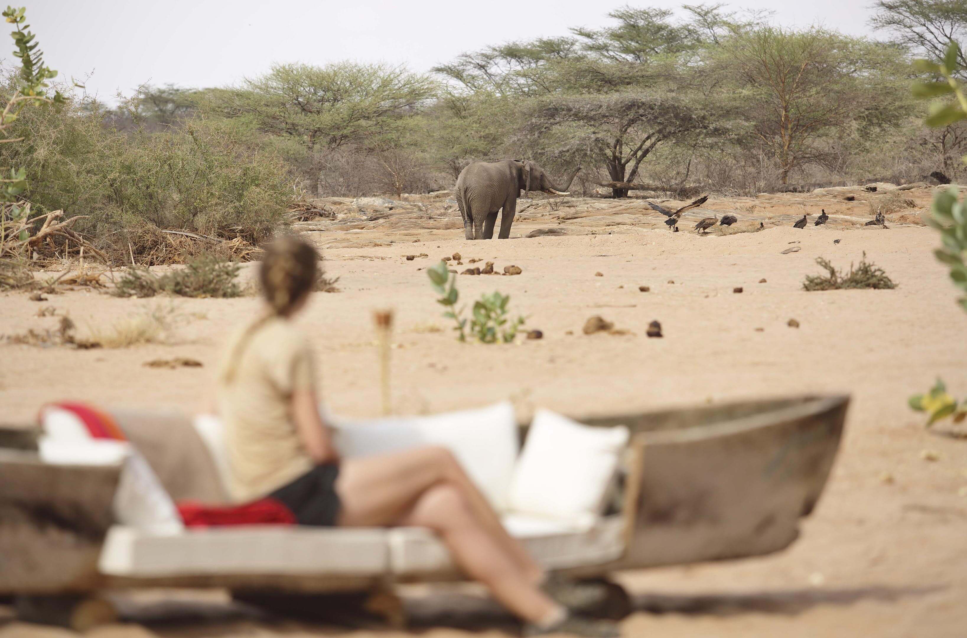 Kenya: Off The Beaten Track Listing Image